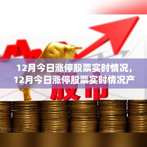12月今日漲停股票實(shí)時(shí)情況深度解析與產(chǎn)品評(píng)測(cè)