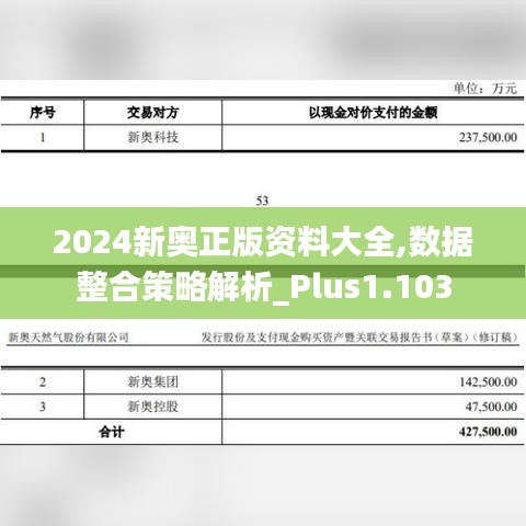 2024新奧正版資料大全,數(shù)據(jù)整合策略解析_Plus1.103