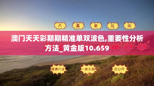 澳門天天彩期期精準(zhǔn)單雙波色,重要性分析方法_黃金版10.659