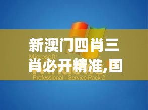 新澳門四肖三肖必開精準,國產(chǎn)化作答解釋定義_XP13.706