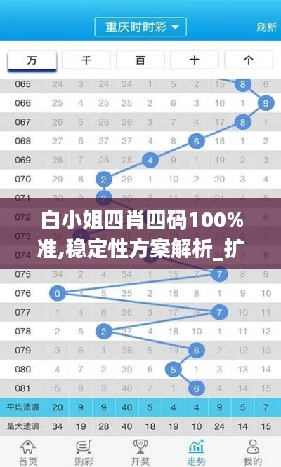 白小姐四肖四碼100%準(zhǔn),穩(wěn)定性方案解析_擴(kuò)展版9.493