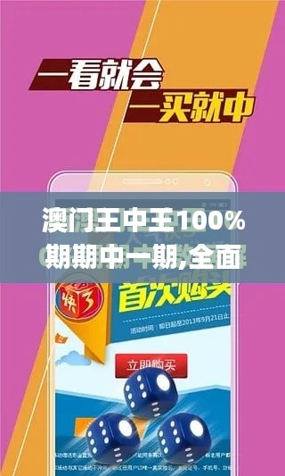 澳門王中王100%期期中一期,全面設(shè)計(jì)執(zhí)行方案_進(jìn)階版2.377