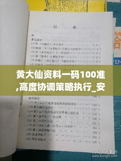 黃大仙資料一碼100準(zhǔn),高度協(xié)調(diào)策略執(zhí)行_安卓7.429