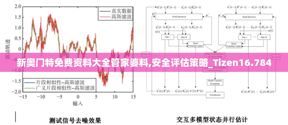 新奧門(mén)特免費(fèi)資料大全管家婆料,安全評(píng)估策略_Tizen16.784
