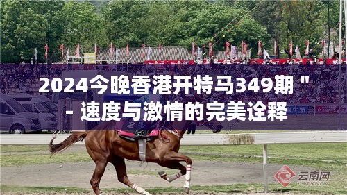 2024今晚香港開特馬349期＂ - 速度與激情的完美詮釋