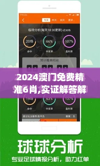2024澳門免費(fèi)精準(zhǔn)6肖,實(shí)證解答解釋定義_至尊版3.165