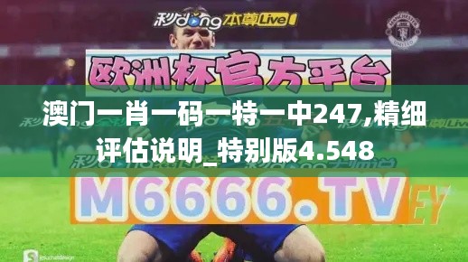 澳門一肖一碼一特一中247,精細評估說明_特別版4.548