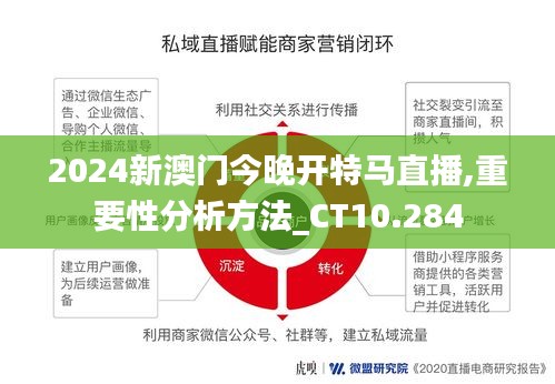 2024新澳門今晚開特馬直播,重要性分析方法_CT10.284