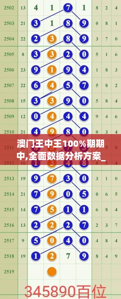 澳門王中王100%期期中,全面數(shù)據(jù)分析方案_豪華款7.835