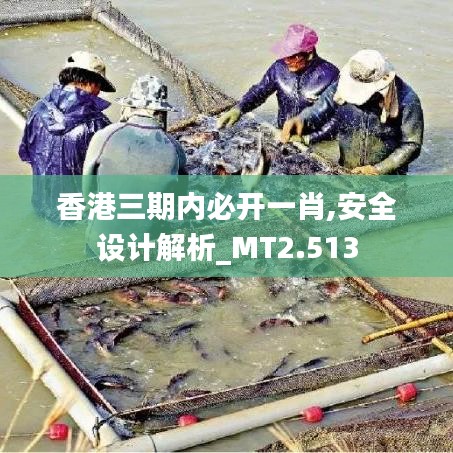 香港三期內(nèi)必開一肖,安全設(shè)計(jì)解析_MT2.513