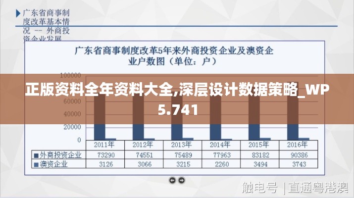 正版資料全年資料大全,深層設計數據策略_WP5.741