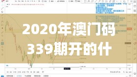 2020年澳門碼339期開的什么,實時信息解析說明_Phablet11.942