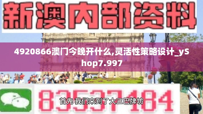 4920866澳門今晚開什么,靈活性策略設(shè)計_yShop7.997