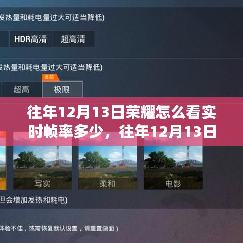往年12月13日榮耀手機實時幀率觀測教程與指南