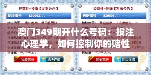 澳門349期開什么號(hào)碼：投注心理學(xué)，如何控制你的賭性