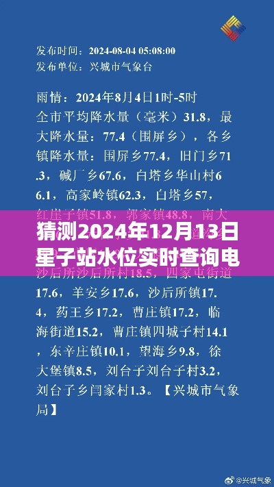 2024年12月13日星子站水位實時查詢電話獲取指南，詳細步驟解析