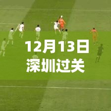 深圳過關(guān)時間實時分析，聚焦12月13日的視角與觀點探討