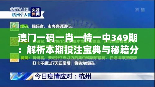 澳門一碼一肖一恃一中349期：解析本期投注寶典與秘籍分享