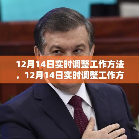 詳細(xì)步驟指南，如何在十二月十四日實(shí)時(shí)調(diào)整工作方法？