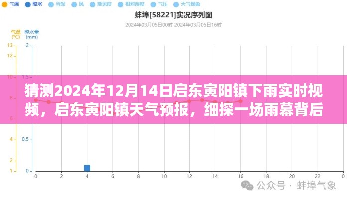 啟東寅陽鎮(zhèn)雨幕背后的故事，天氣預(yù)報(bào)與實(shí)時(shí)視頻探索（2024年12月14日）