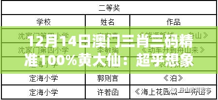 12月14日澳門(mén)三肖三碼精準(zhǔn)100%黃大仙：超乎想象的中獎(jiǎng)體驗(yàn)