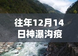 神瀑溝疫情最新消息實時更新與評測介紹