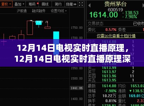 12月14日電視實時直播原理深度解析與觀點探討