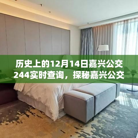 探秘嘉興公交244，歷史實(shí)時(shí)查詢與美食寶藏之旅