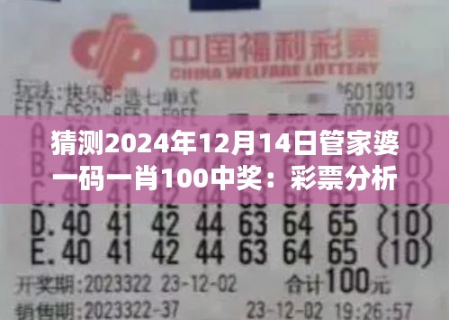 猜測2024年12月14日管家婆一碼一肖100中獎：彩票分析的心理學視角