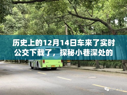 探秘歷史塵埃中的時光巴士，實(shí)時公交下載日，美食公交小店揭秘之旅