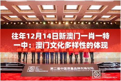 往年12月14日新澳門一肖一特一中：澳門文化多樣性的體現(xiàn)