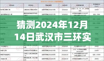 2024年12月14日武漢市三環(huán)實(shí)時(shí)路況預(yù)測(cè)與洞察
