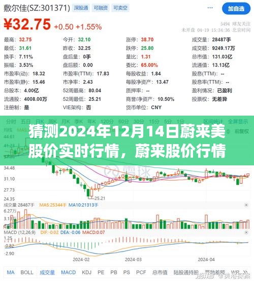 蔚來股價(jià)行情展望，解析蔚來在2024年12月14日的股價(jià)實(shí)時行情預(yù)測及展望