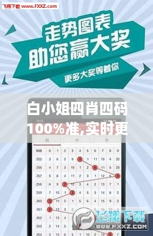 白小姐四肖四碼100%準(zhǔn),實(shí)時(shí)更新解析說(shuō)明_復(fù)刻版11.246