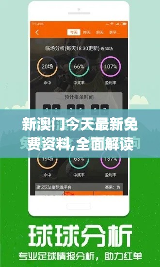 新澳門今天最新免費資料,全面解讀說明_運動版3.990