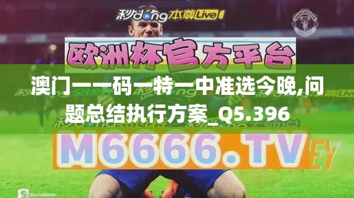 澳門一一碼一特一中準(zhǔn)選今晚,問題總結(jié)執(zhí)行方案_Q5.396
