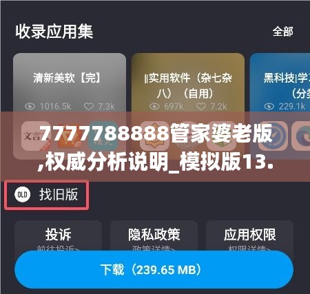 7777788888管家婆老版,權威分析說明_模擬版13.549