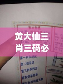 黃大仙三肖三碼必中三,詳述解答解釋落實_頂級版8.340