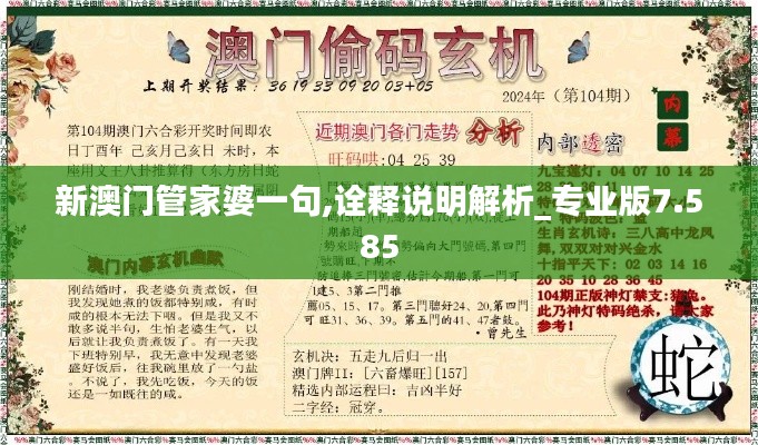 新澳門管家婆一句,詮釋說明解析_專業(yè)版7.585