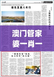 澳門管家婆一肖一碼一中,數(shù)據(jù)驅(qū)動方案實施_完整版7.322