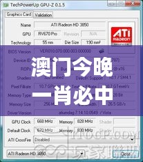 澳門今晚一肖必中特,客戶反饋分析落實_HD10.625