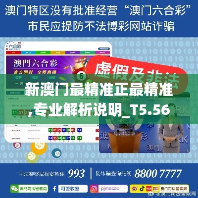 新澳門最精準正最精準,專業(yè)解析說明_T5.567
