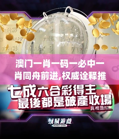 澳門一肖一碼一必中一肖同舟前進,權威詮釋推進方式_Tizen8.945