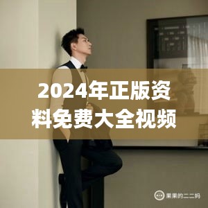 2024年正版資料免費(fèi)大全視頻,全面解析與深度體驗(yàn)_DX版10.678