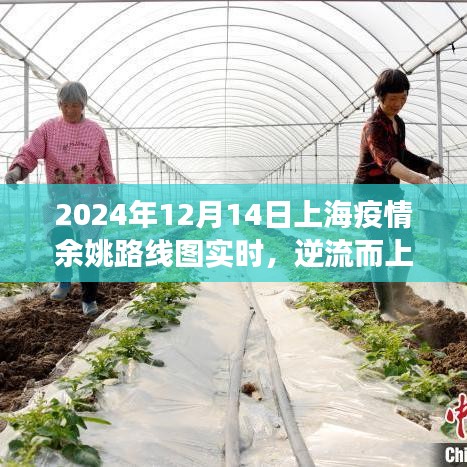 上海余姚抗疫之路與成長圖譜，逆流而上，實時追蹤疫情路線圖至未來展望