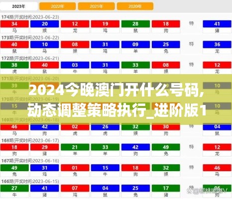 2024今晚澳門開什么號碼,動態(tài)調(diào)整策略執(zhí)行_進(jìn)階版19.345