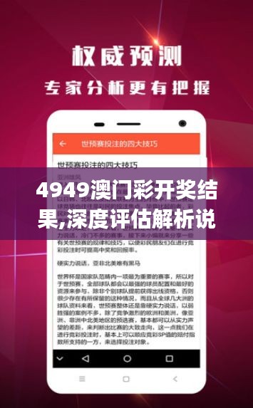 4949澳門彩開獎結(jié)果,深度評估解析說明_Windows3.607