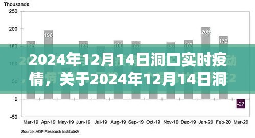 2024年12月14日洞口實(shí)時(shí)疫情全面評(píng)測(cè)與介紹