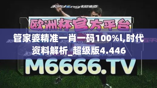 管家婆精準(zhǔn)一肖一碼100%l,時代資料解析_超級版4.446