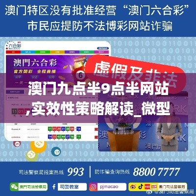 澳門(mén)九點(diǎn)半9點(diǎn)半網(wǎng)站,實(shí)效性策略解讀_微型版5.277